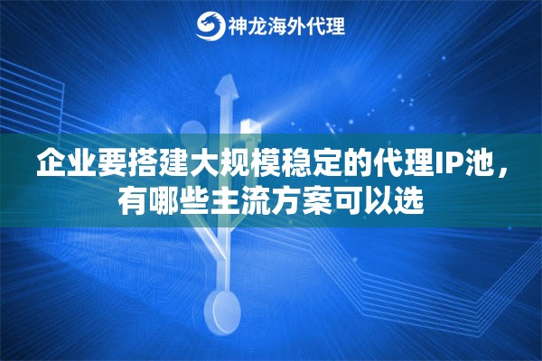 企业要搭建大规模稳定的代理IP池，有哪些主流方案可以选