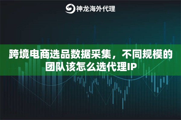 跨境电商选品数据采集,不同规模的团队该怎么选代理IP 跨境电商选品数据采集,不同规模的团队该怎么选代理IP