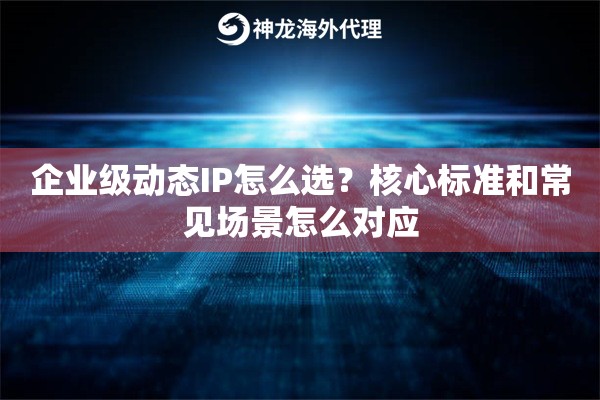 企业级动态IP怎么选？核心标准和常见场景怎么对应