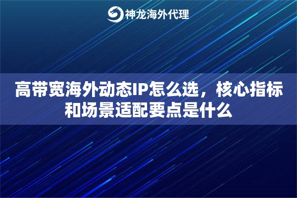 高带宽海外动态IP怎么选，核心指标和场景适配要点是什么
