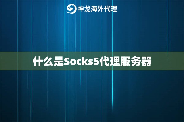 什么是Socks5代理服务器