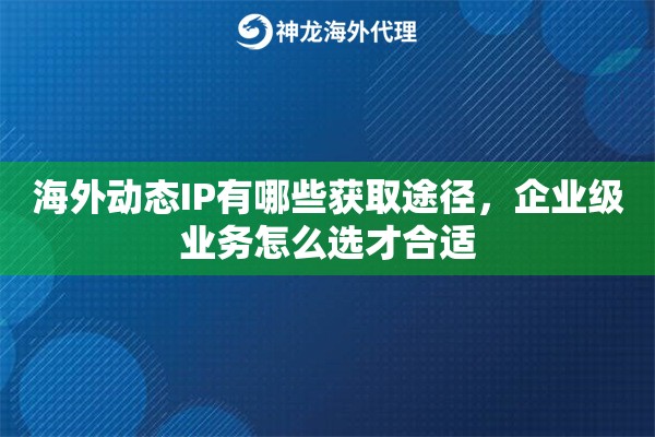 海外动态IP有哪些获取途径，企业级业务怎么选才合适
