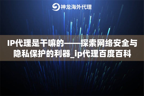 IP代理是干嘛的——探索网络安全与隐私保护的利器_ip代理百度百科