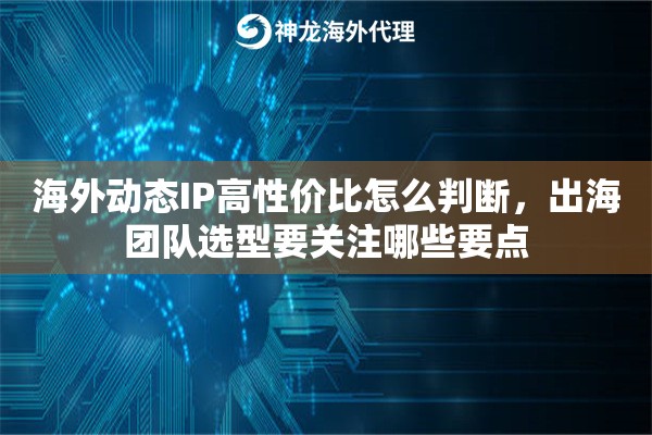 海外动态IP高性价比怎么判断，出海团队选型要关注哪些要点