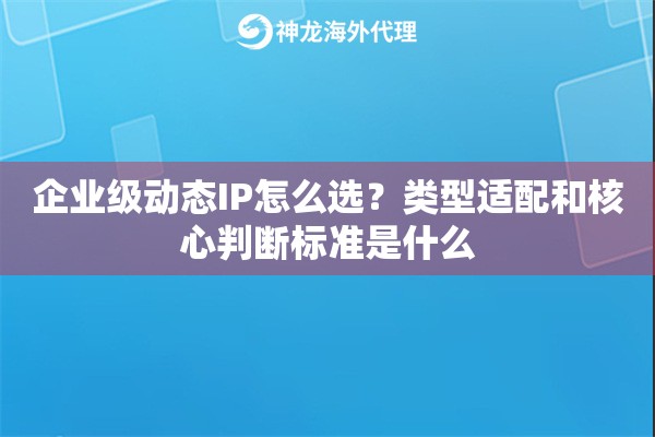 企业级动态IP怎么选？类型适配和核心判断标准是什么
