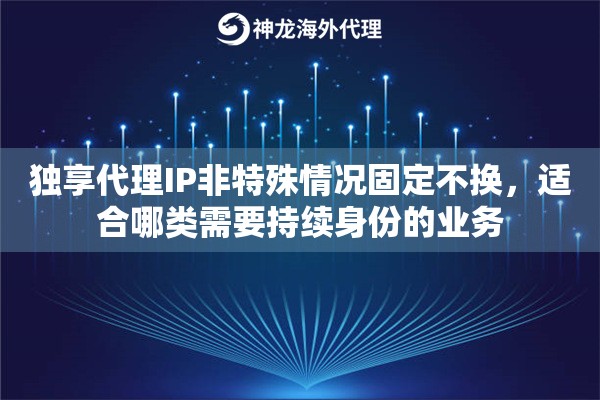 独享代理IP非特殊情况固定不换，适合哪类需要持续身份的业务