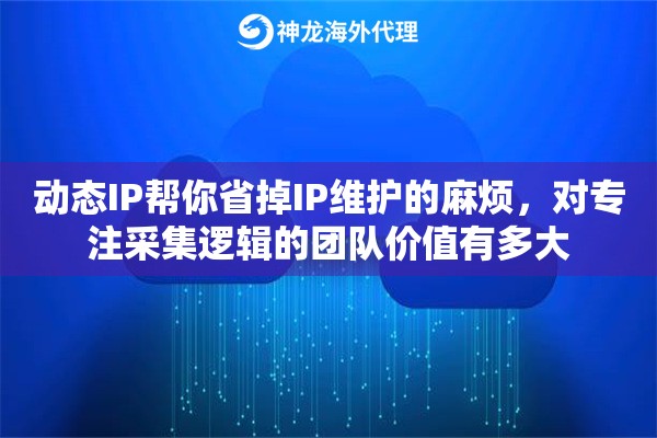 动态IP帮你省掉IP维护的麻烦，对专注采集逻辑的团队价值有多大