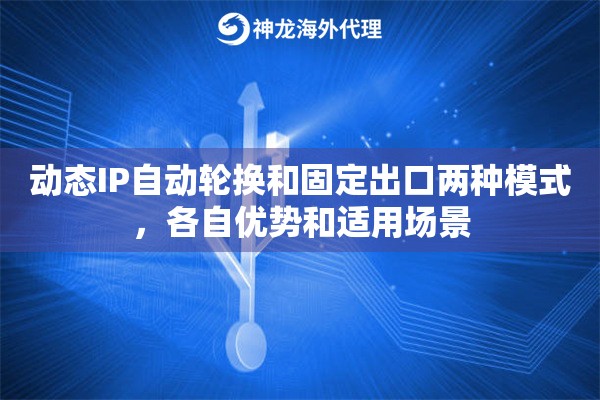 动态IP自动轮换和固定出口两种模式,各自优势和适用场景 动态IP自动轮换和固定出口两种模式,各自优势和适用场景