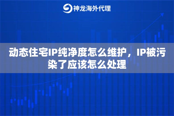 动态住宅IP纯净度怎么维护,IP被污染了应该怎么处理 动态住宅IP纯净度怎么维护,IP被污染了应该怎么处理