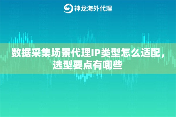 数据采集场景代理IP类型怎么适配,选型要点有哪些 数据采集场景代理IP类型怎么适配,选型要点有哪些