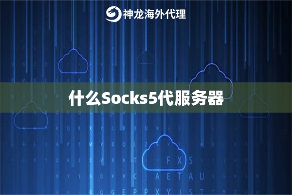 什么Socks5代服务器