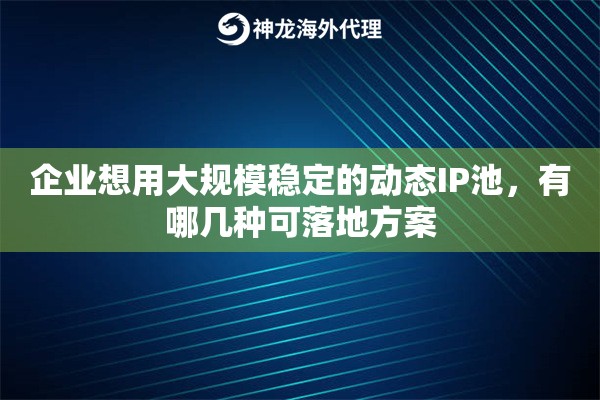 企业想用大规模稳定的动态IP池,有哪几种可落地方案 企业想用大规模稳定的动态IP池,有哪几种可落地方案