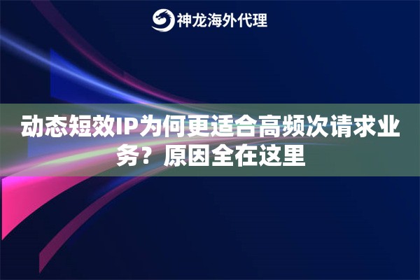 动态短效IP为何更适合高频次请求业务?原因全在这里 动态短效IP为何更适合高频次请求业务?原因全在这里