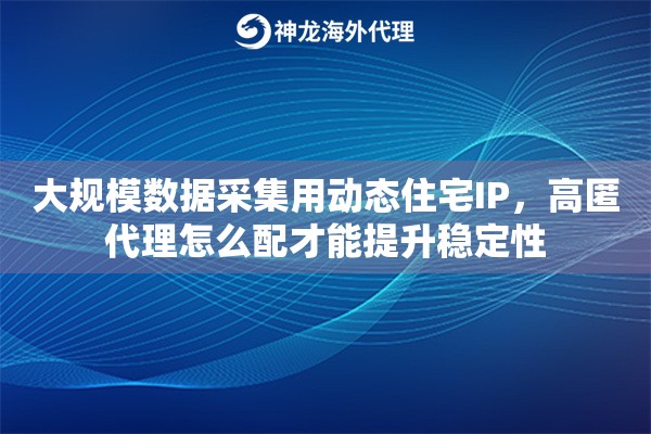 大规模数据采集用动态住宅IP，高匿代理怎么配才能提升稳定性