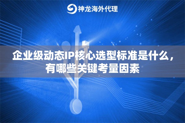 企业级动态IP核心选型标准是什么，有哪些关键考量因素