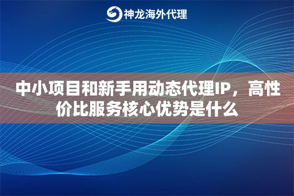 中小项目和新手用动态代理IP，高性价比服务核心优势是什么