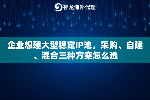 企业想建大型稳定IP池,采购、自建、混合三种方案怎么选 企业想建大型稳定IP池,采购、自建、混合三种方案怎么选