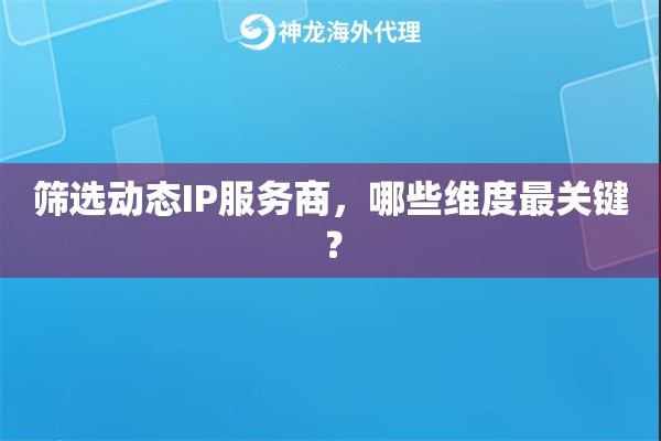 筛选动态IP服务商，哪些维度最关键？