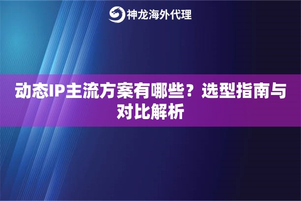 动态IP主流方案有哪些？选型指南与对比解析