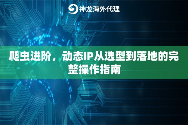 爬虫进阶，动态IP从选型到落地的完整操作指南