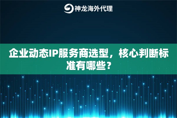 企业动态IP服务商选型，核心判断标准有哪些？