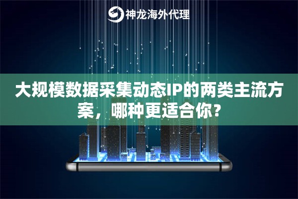 大规模数据采集动态IP的两类主流方案，哪种更适合你？