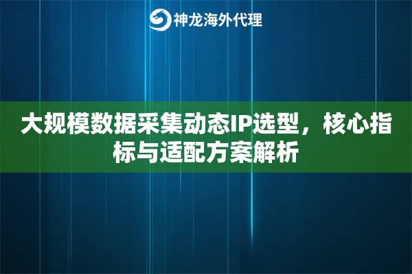 大规模数据采集动态IP选型，核心指标与适配方案解析