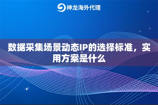 数据采集场景动态IP的选择标准，实用方案是什么