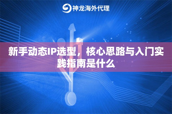 新手动态IP选型，核心思路与入门实践指南是什么