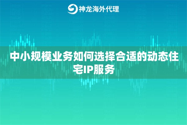 中小规模业务如何选择合适的动态住宅IP服务