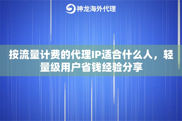 按流量计费的代理IP适合什么人，轻量级用户省钱经验分享