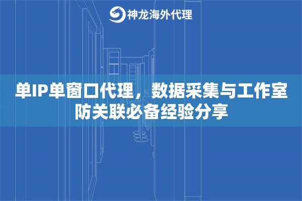 单IP单窗口代理，数据采集与工作室防关联必备经验分享