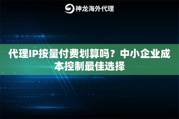 代理IP按量付费划算吗？中小企业成本控制最佳选择