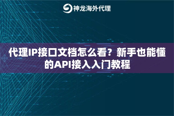 代理IP接口文档怎么看？新手也能懂的API接入入门教程