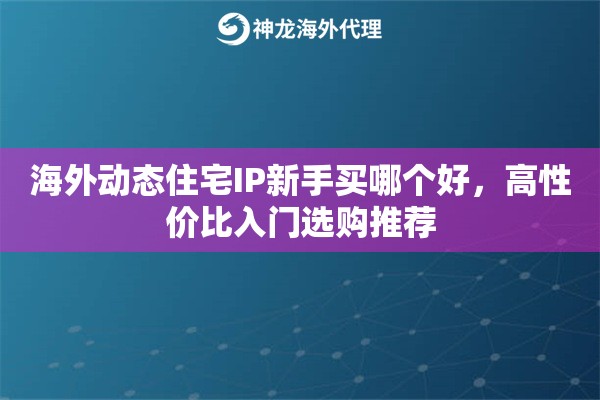 海外动态住宅IP新手买哪个好，高性价比入门选购推荐
