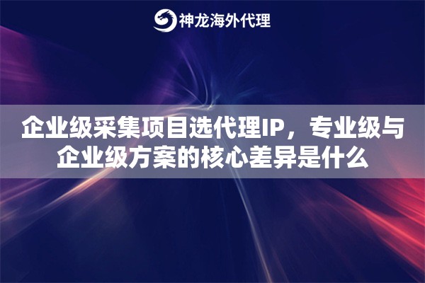 企业级采集项目选代理IP，专业级与企业级方案的核心差异是什么