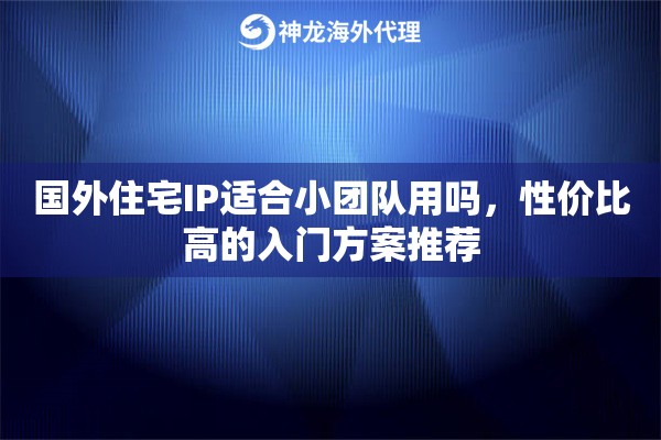 国外住宅IP适合小团队用吗，性价比高的入门方案推荐