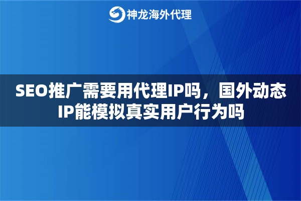 SEO推广需要用代理IP吗，国外动态IP能模拟真实用户行为吗