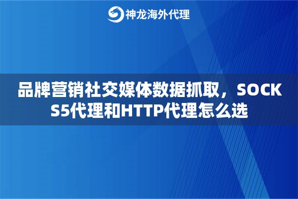品牌营销社交媒体数据抓取，SOCKS5代理和HTTP代理怎么选