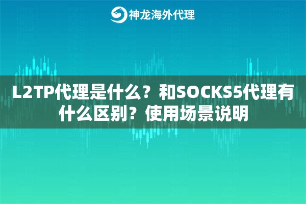 L2TP代理是什么?和SOCKS5代理有什么区别?使用场景说明 L2TP代理是什么?和SOCKS5代理有什么区别?使用场景说明