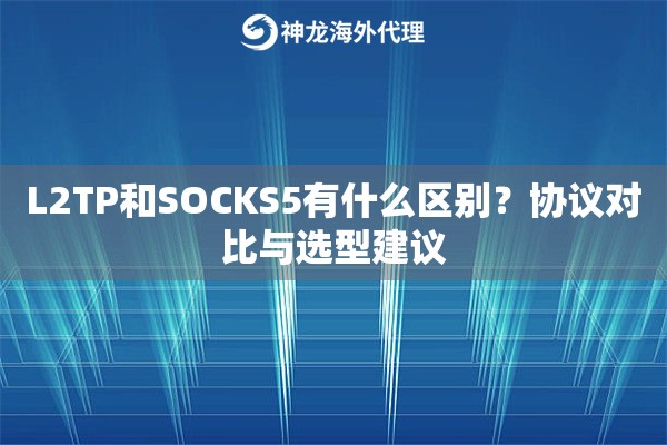 L2TP和SOCKS5有什么区别？协议对比与选型建议
