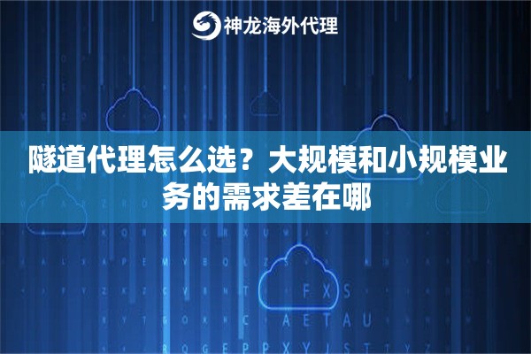 隧道代理怎么选?大规模和小规模业务的需求差在哪 隧道代理怎么选?大规模和小规模业务的需求差在哪