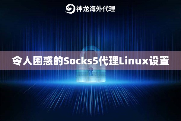 令人困惑的Socks5代理Linux设置