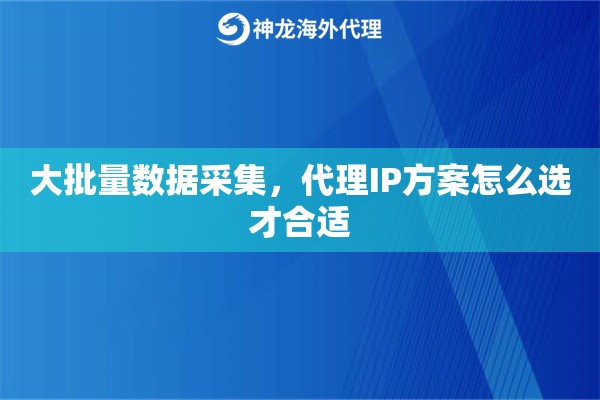 大批量数据采集，代理IP方案怎么选才合适