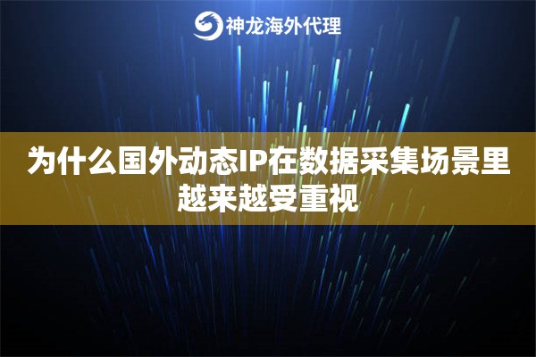 为什么国外动态IP在数据采集场景里越来越受重视 为什么国外动态IP在数据采集场景里越来越受重视