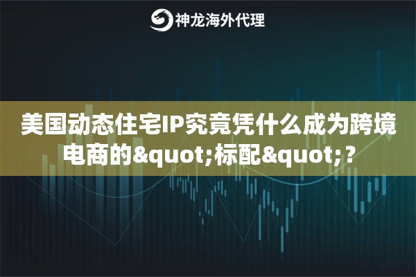 美国动态住宅IP究竟凭什么成为跨境电商的"标配"？