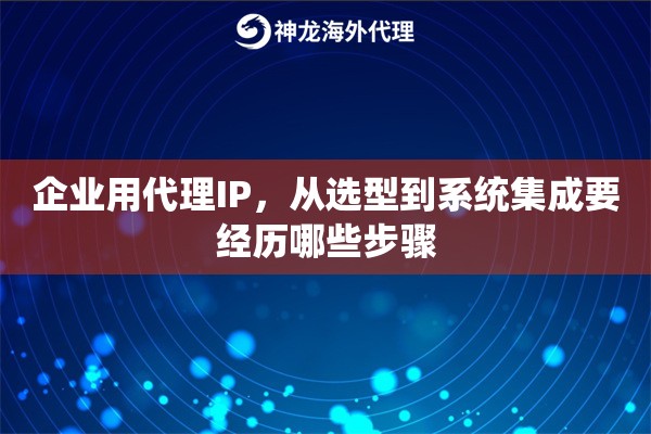 企业用代理IP，从选型到系统集成要经历哪些步骤