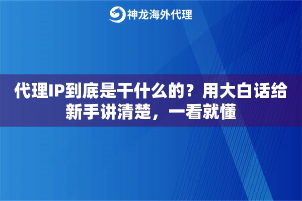 代理IP到底是干什么的？用大白话给新手讲清楚，一看就懂