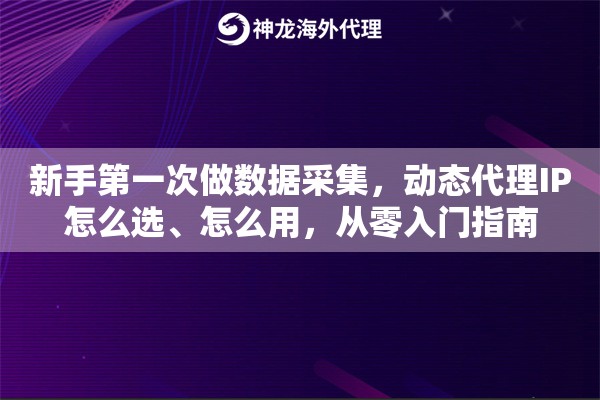 新手第一次做数据采集，动态代理IP怎么选、怎么用，从零入门指南