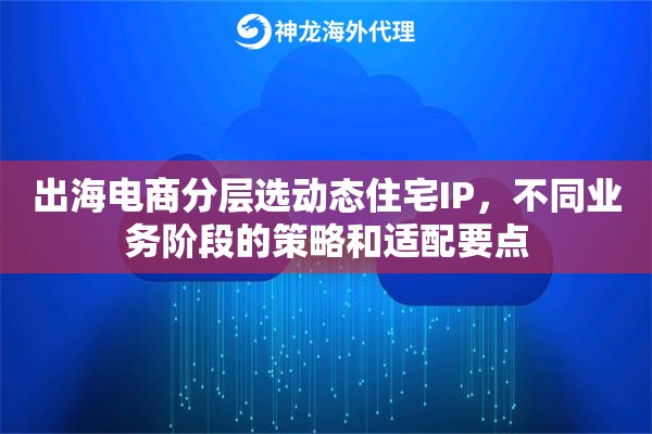出海电商分层选动态住宅IP，不同业务阶段的策略和适配要点
